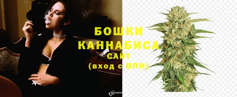 Конопля SATIVA & INDICA  купить наркотики сайты  Шадринск 